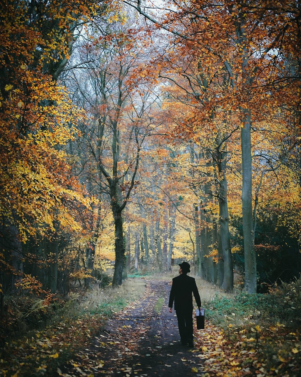 A Charlie Chaplinesque figure walking through the Autumnal leaves...I wonder where he is going?