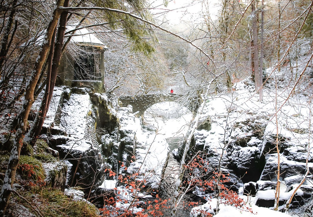A snowy scene at the Hermitage in Perthshire.