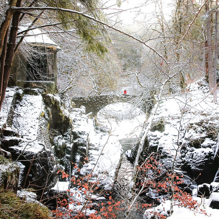 A snowy scene at the Hermitage in Perthshire.