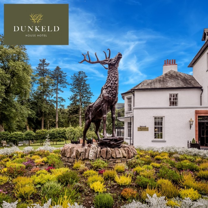 Staycation - Dunkeld House Stag