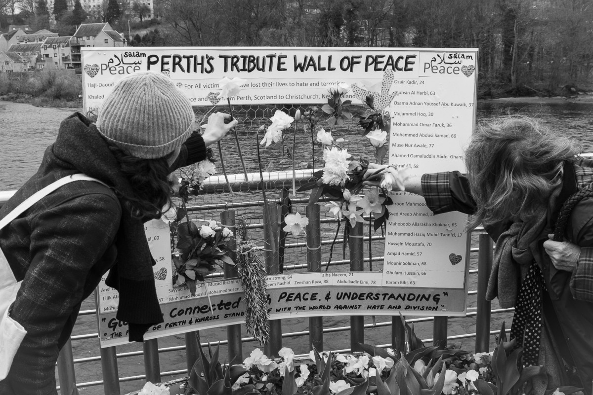 Placing Flowers on the Wall