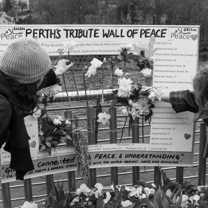Placing Flowers on the Wall