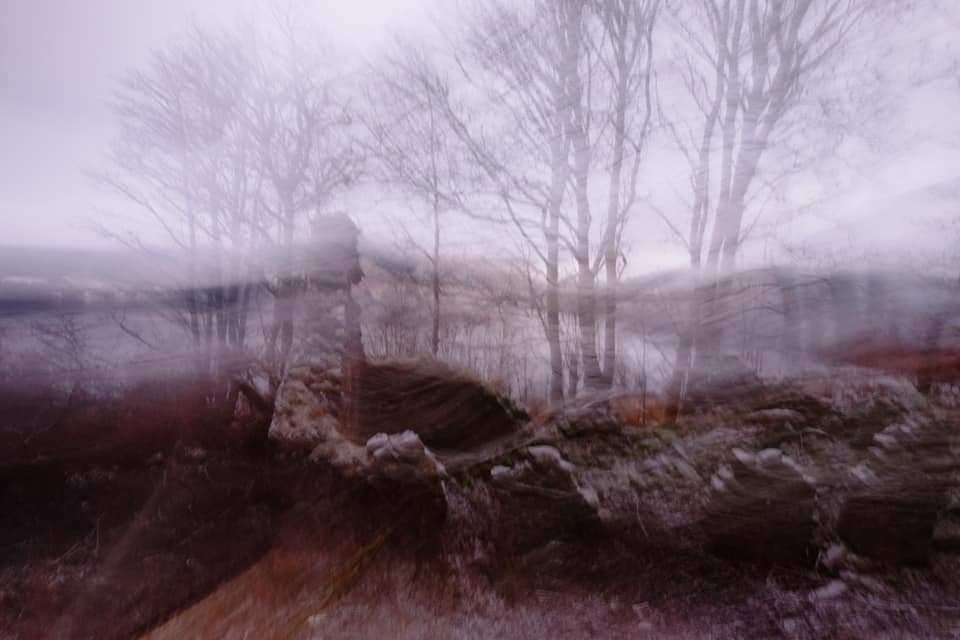 The Southside of Loch Tay