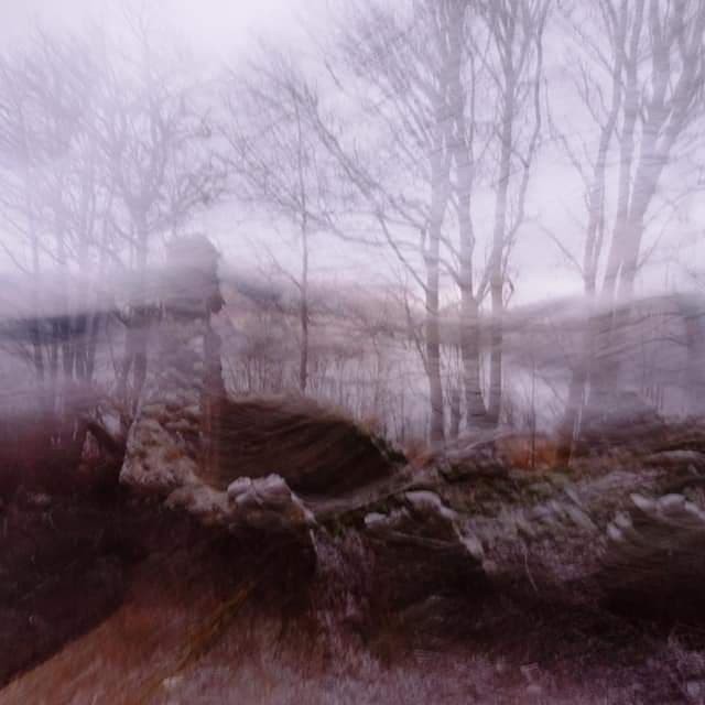 The Southside of Loch Tay