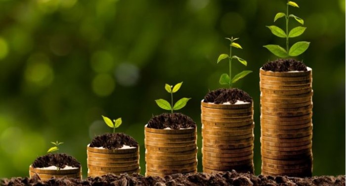 Clyde Capital Growth