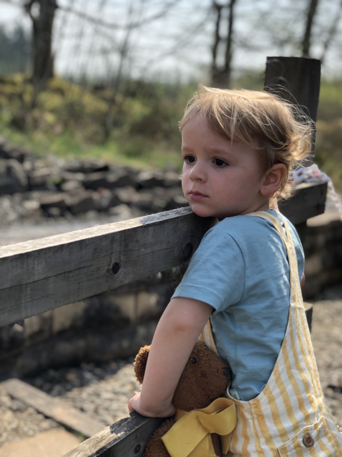 A little boy looks longingly at the miniature tiny level train tracks at Wester Pickston Railway