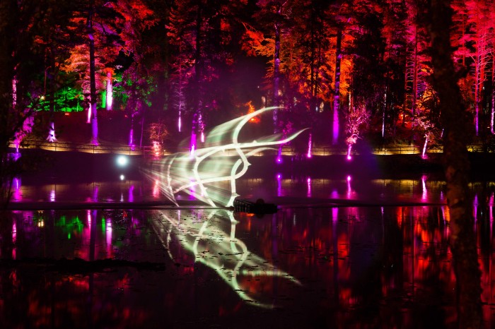 Enchanted Forest 2019