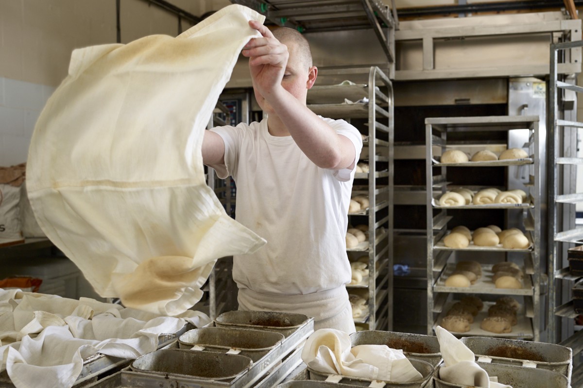 Shake it out, shake shake shake shake it out!