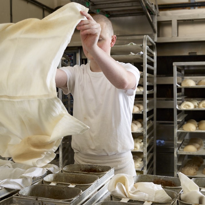 Shake it out, shake shake shake shake it out!