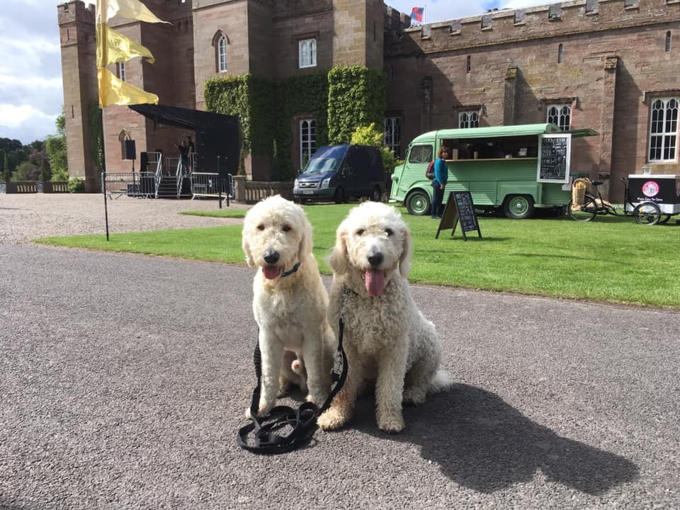 How gorgeous are Bailey and Harris?! ❤