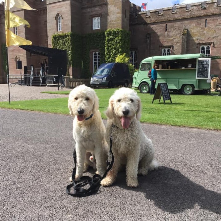 How gorgeous are Bailey and Harris?! ❤