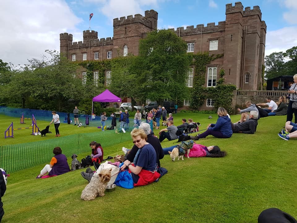 Paws at the Palace pulled in a great crowd!