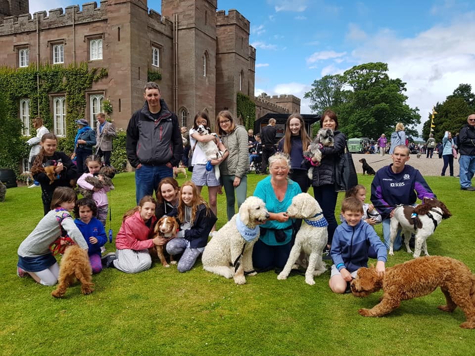 A dogtastic group shot. 😃✨