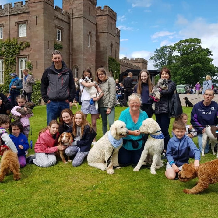 A dogtastic group shot. 😃✨