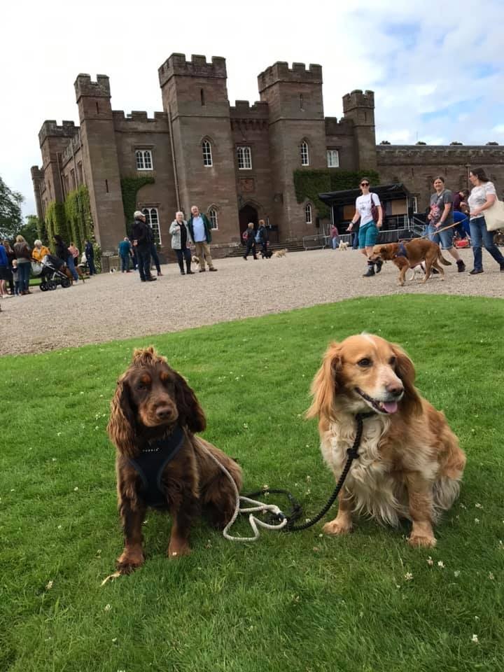 Orla and Goldie enjoyed their day at the Palace. 🤗💕