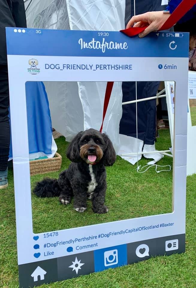 Now that's an Insta worthy picture if we ever did see one! 😍 Max had a great time,  that smile says it all!