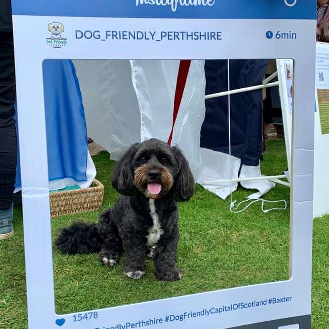 Now that's an Insta worthy picture if we ever did see one! 😍 Max had a great time,  that smile says it all!