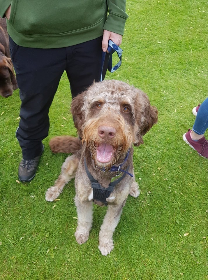 Abbie sent in this super cute pic of her beloved pooch smiling for the camera. 😄