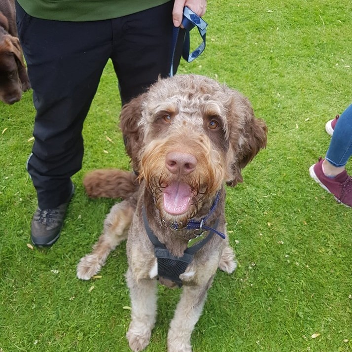 Abbie sent in this super cute pic of her beloved pooch smiling for the camera. 😄