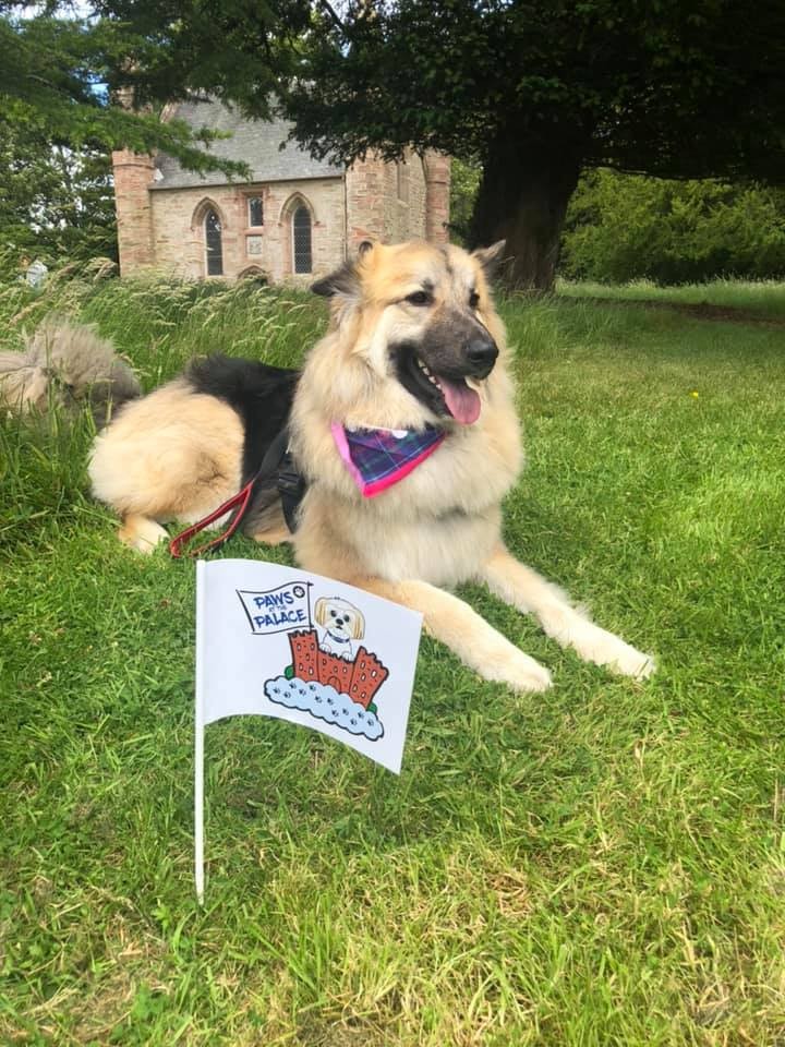 Bear enjoying a break from all the fun. 🌞
