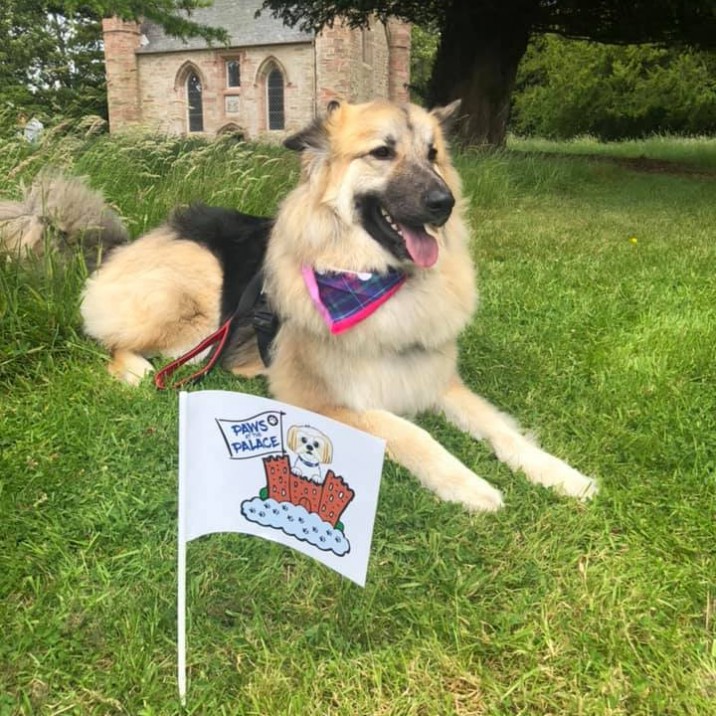 Bear enjoying a break from all the fun. 🌞
