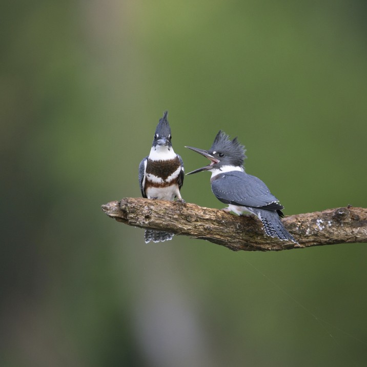 I guess the honeymoon is over!