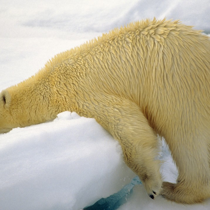 Anything will do when you're this tired!