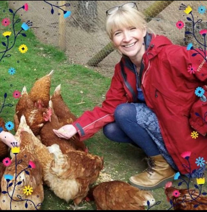 Feeding time for these hungry hens!