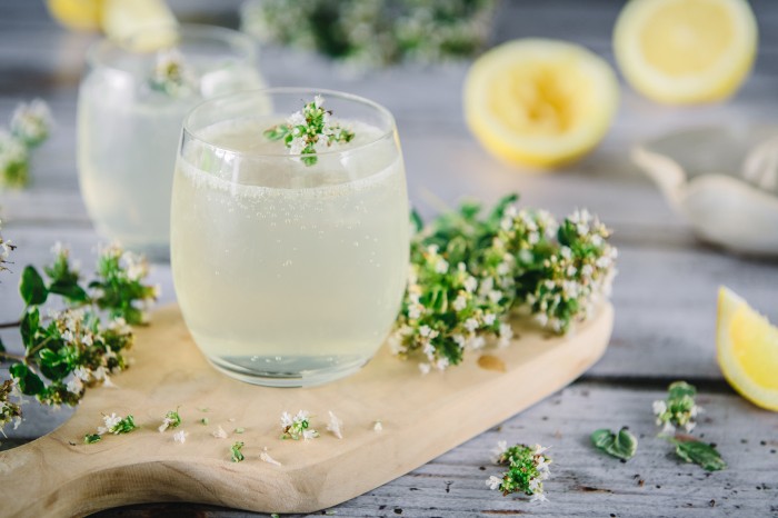 Lemon and Thyme Gin Cocktail Recipe.