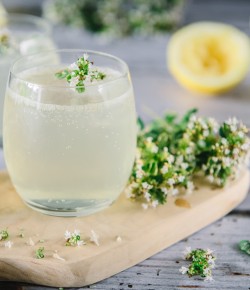Lemon and Thyme Gin Cocktail