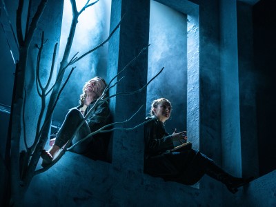 Mary Shelley's Frankenstein