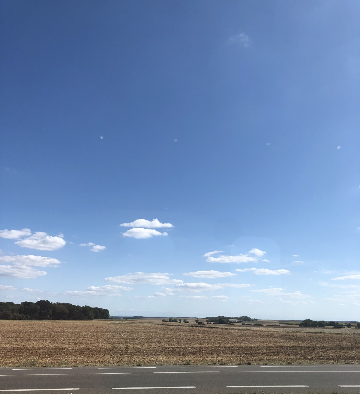 "A random field during one of tough long days" - Olly