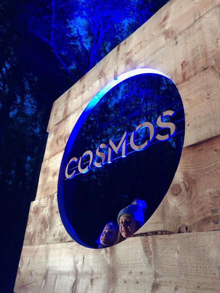 Enchanted Forest - Cosmos