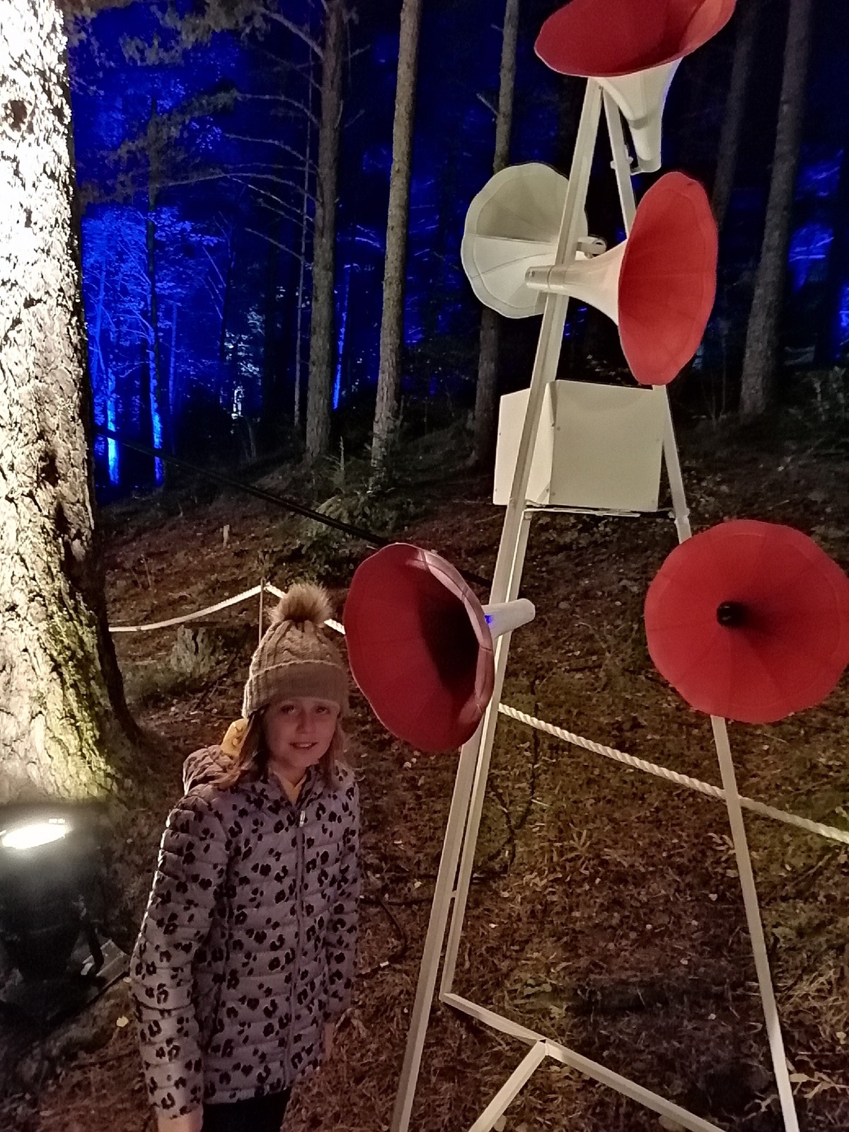 Sights, sounds and smells. The Enchanted Forest will test all of your senses!