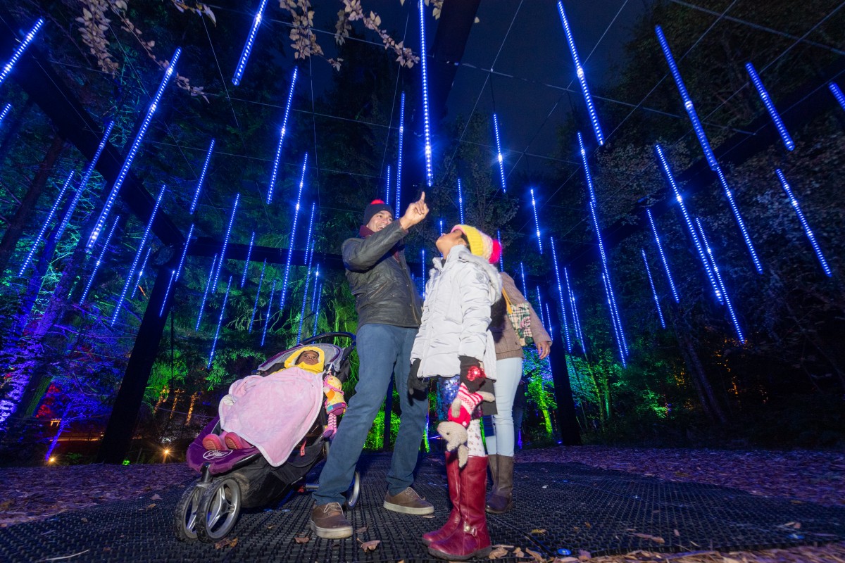 The forest seems to enchant adults just as much as children!