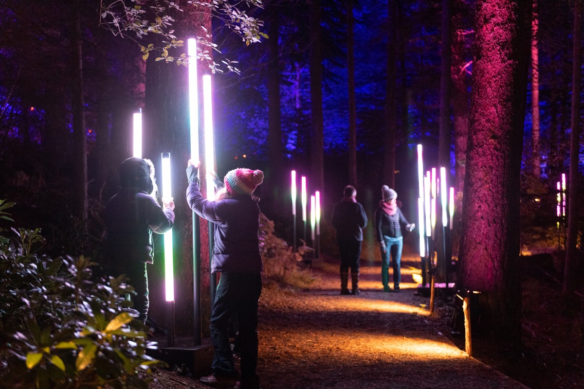 The Enchanted Forest captivates visitors and awakens the senses.