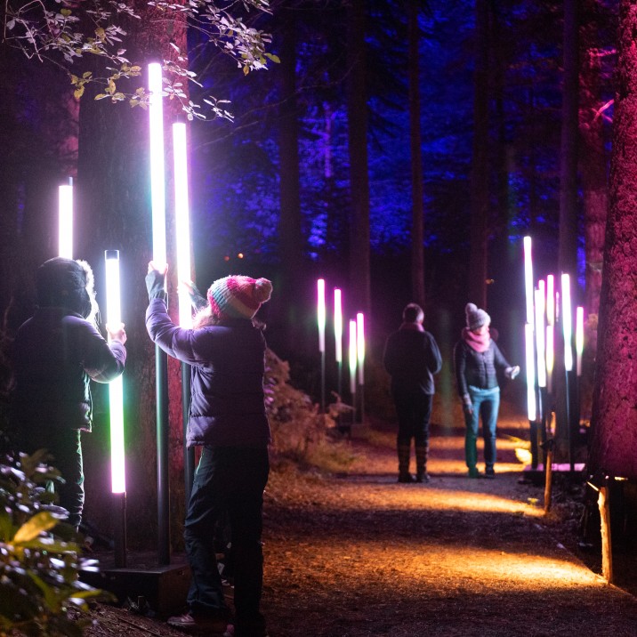 The Enchanted Forest captivates visitors and awakens the senses.