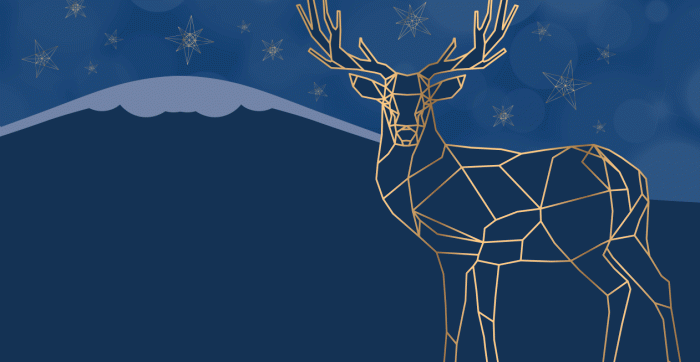 The Christmas Design Market is a pop up market curated by Perthshire Creates with 54 independent local makers selling all sorts of handmade and unique items, perfect for last minute christmas gifts!