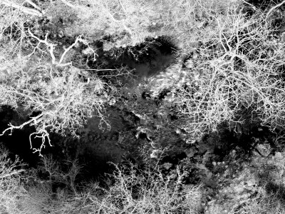 Perth’s biggest ever public art project is ready to be unveiled!