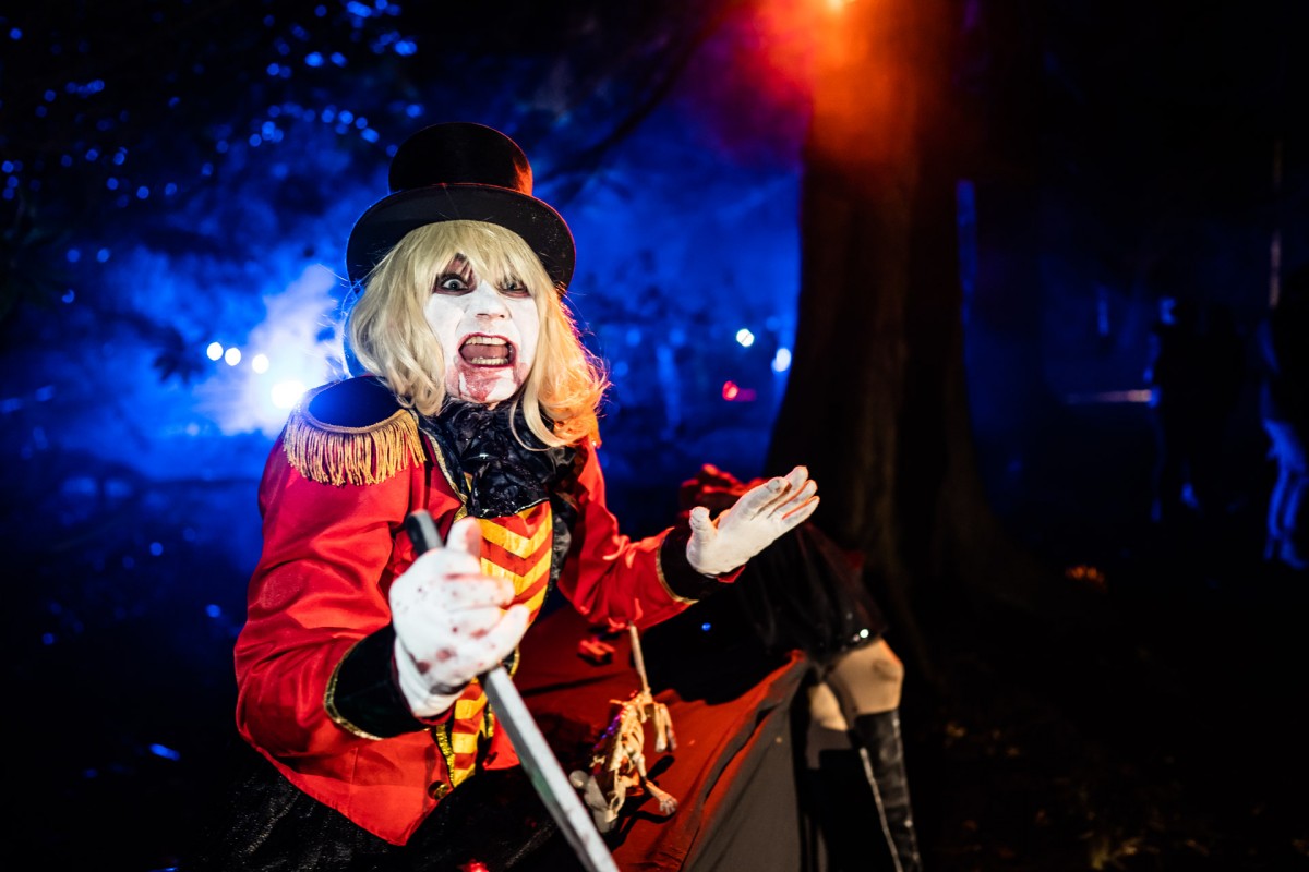 A whole new meaning to the phrase legless in the woods....!