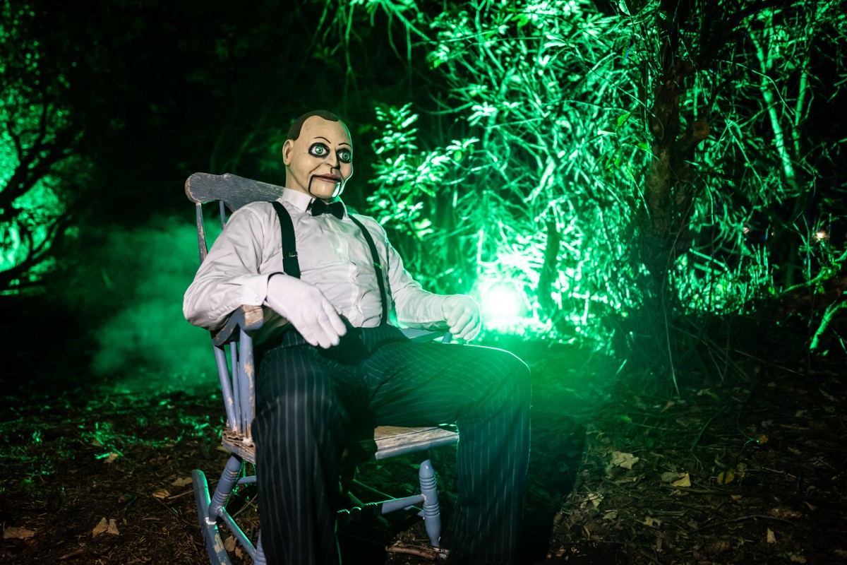 By still my pretty... we're only rocking in the woods...