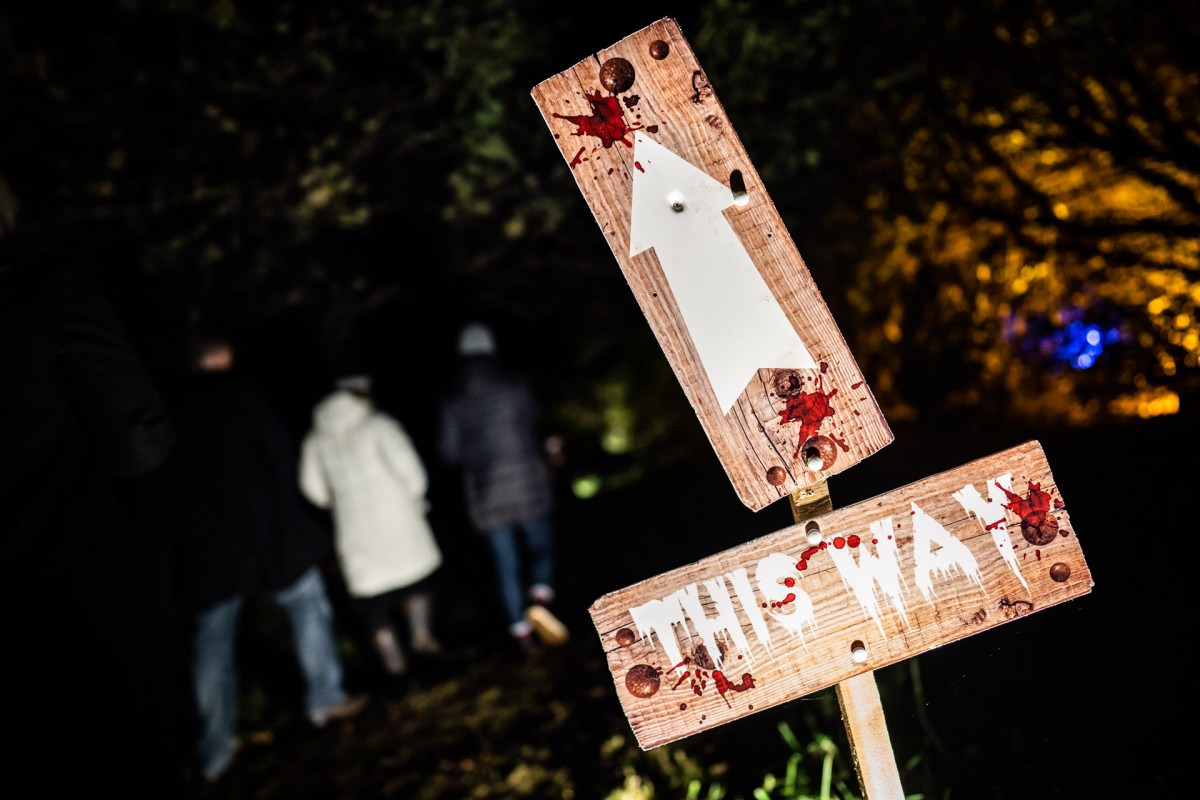 This Way... if you DARE!