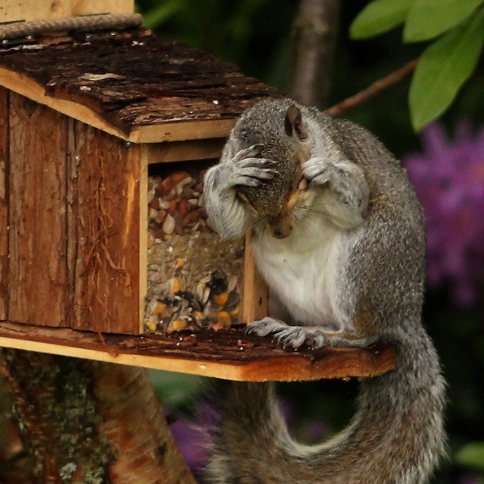When the rain comes on and you realise you left the washing out.
