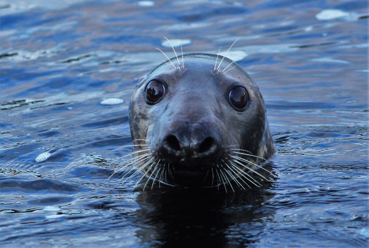 This one gets the Small City 'seal of approval' for cuteness.