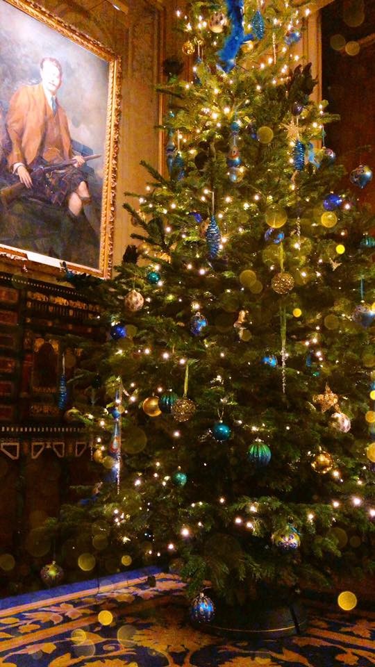 6ft Nordmann Fir Christmas Tree together with a box of Christmas Reindeer Baubles.