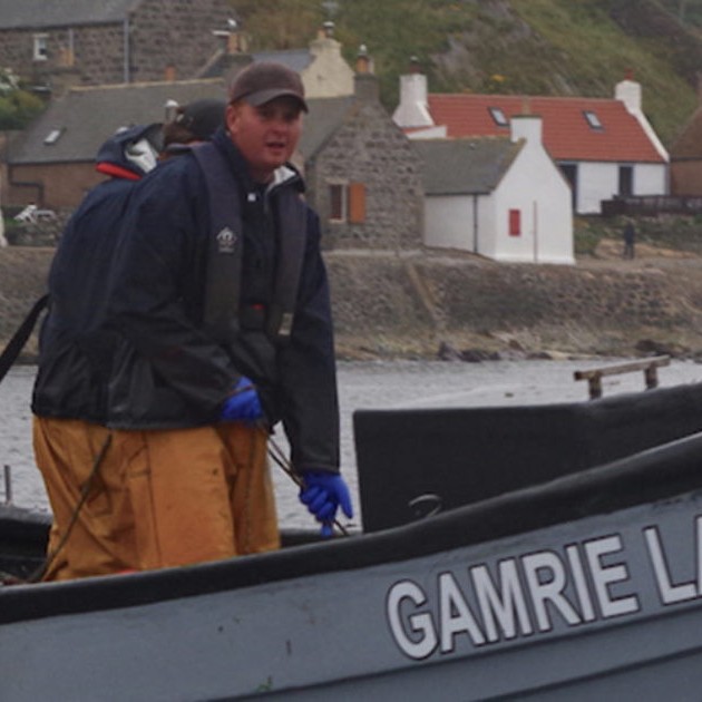 PFS - Of Fish and Foe