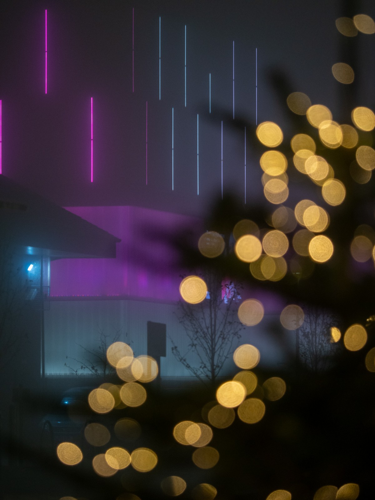 The atmospheric Theatre building shines like a beacon through the fog.