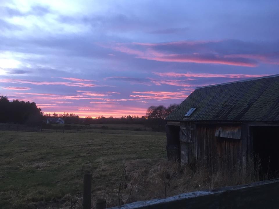 Alison Seggie - Rosemount, Blairgowrie