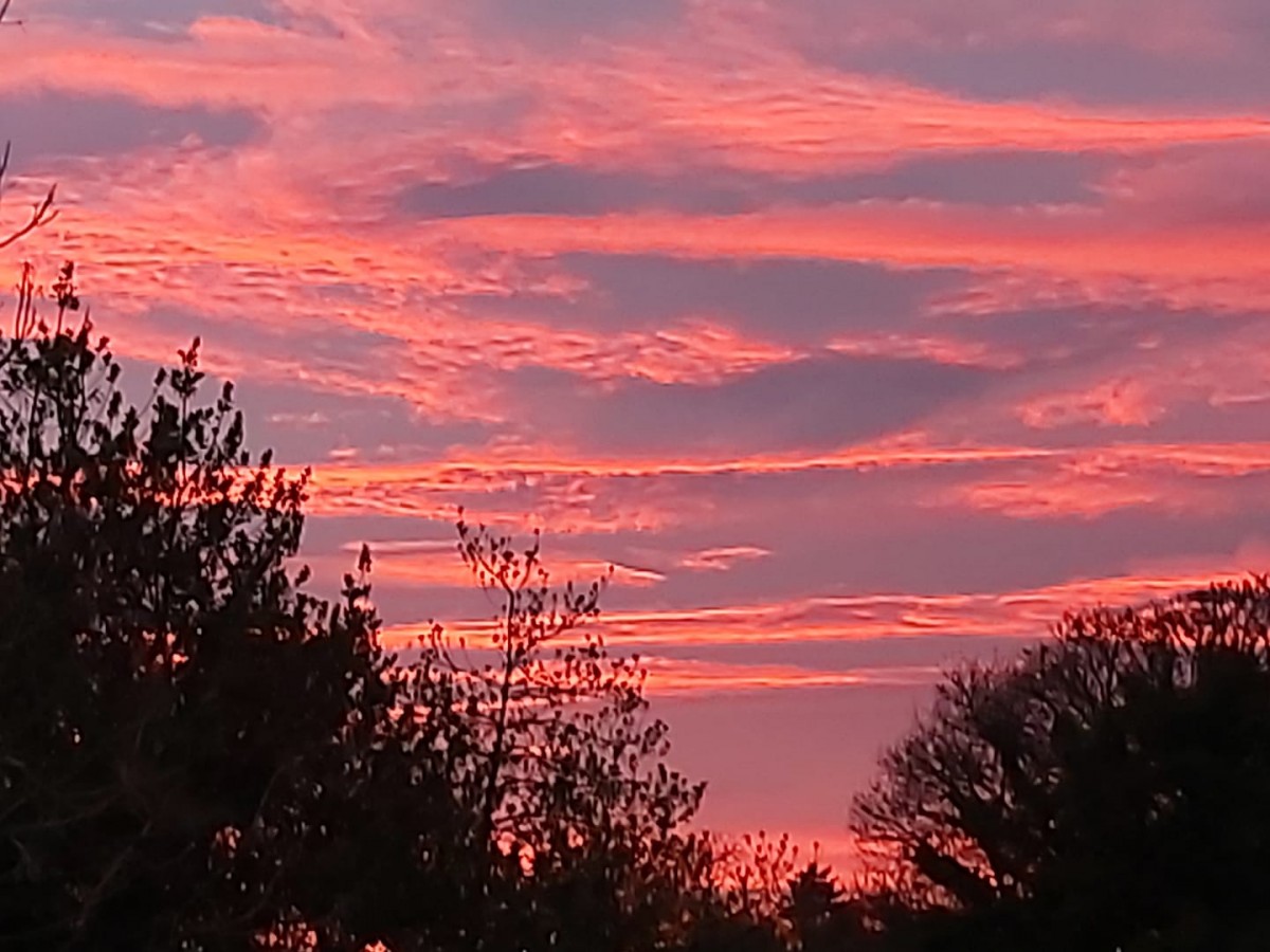 Anne Mckenzie - Kettins