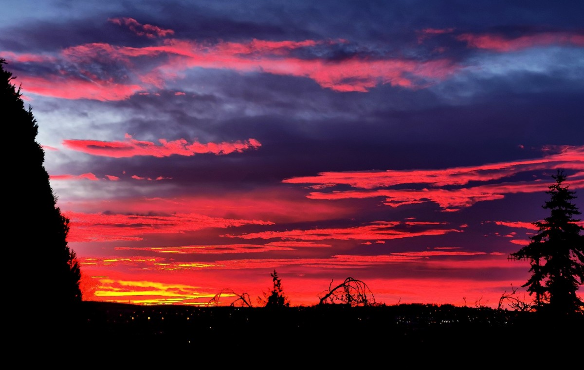 Brian Johnston - Brigend